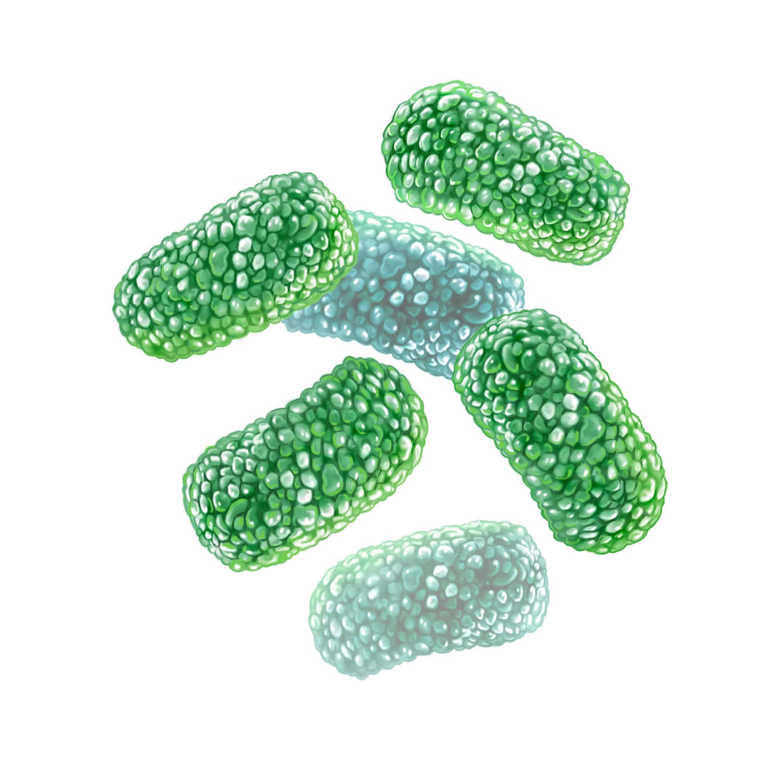 Microbioma del tracto genital