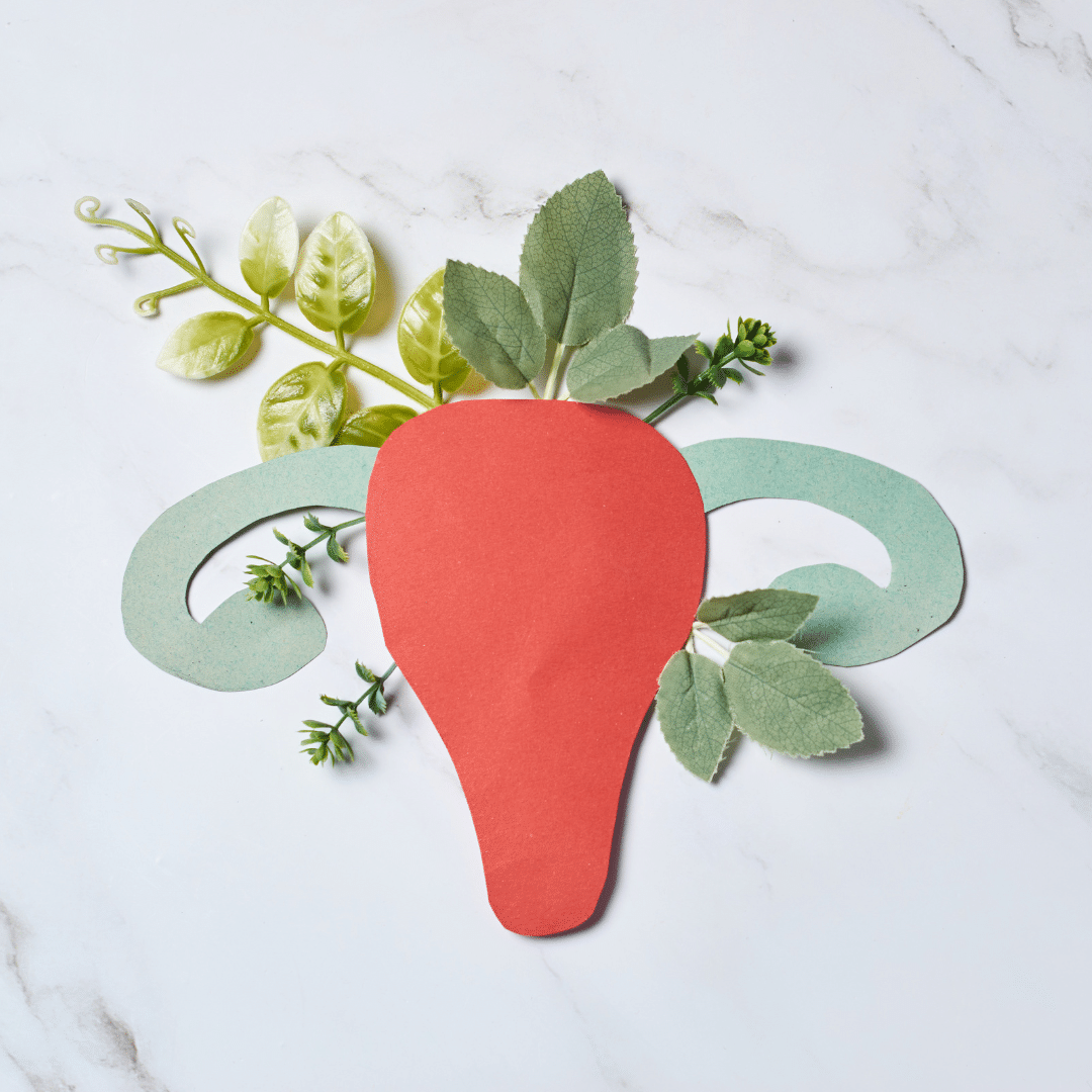 Desafíos contemporáneos para la fertilidad: explorando las conexiones entre disruptores endócrinos y su impacto en la salud reproductiva