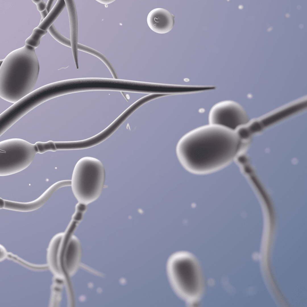 ¿Qué es la azoospermia?
