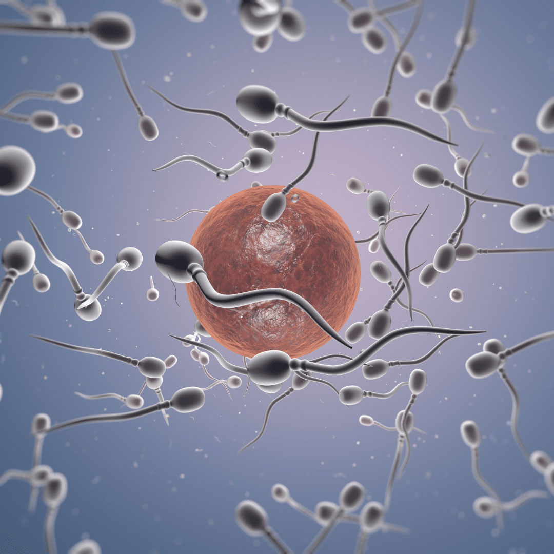 Diagnóstico de cáncer y deseo de ser madre: ¿qué opciones hay?