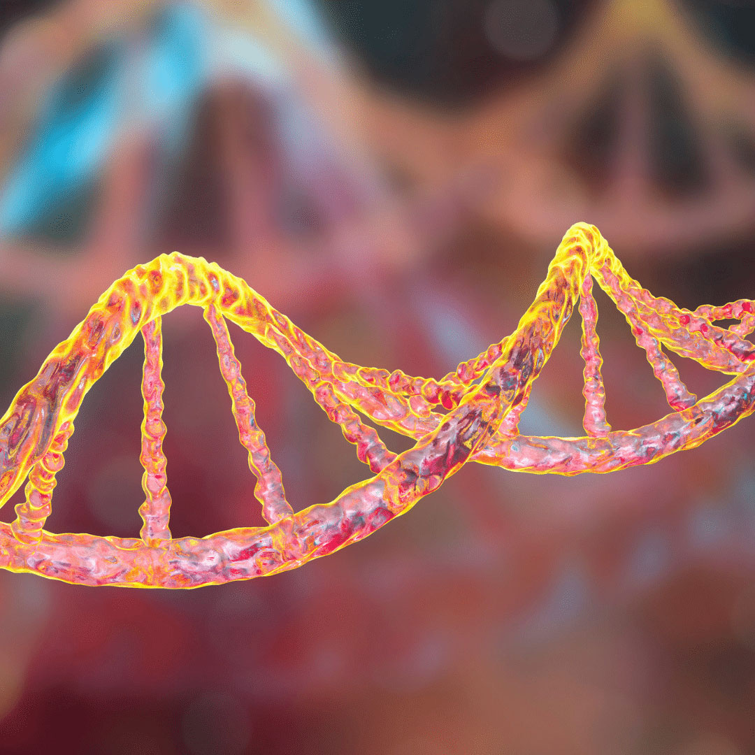 Epigenética: lo que heredamos no está solo en los genes