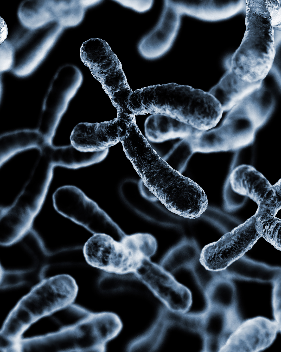 ¿Los problemas de fertilidad son hereditarios?