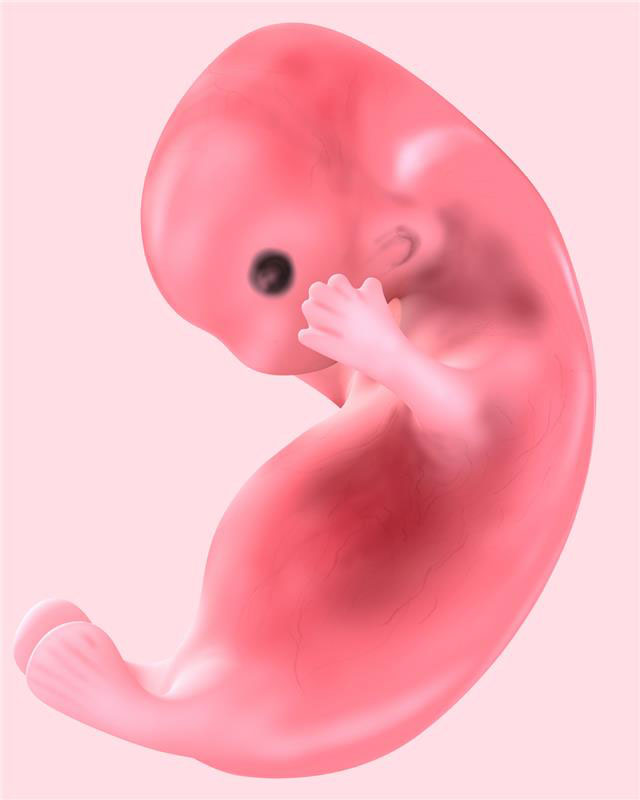 ¿Qué es la falla recurrente de implantación embrionaria?